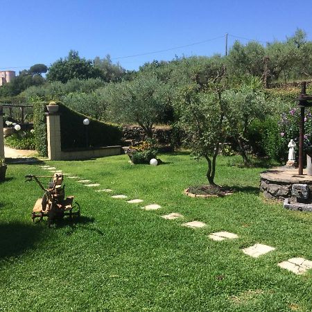 B&B Etna Ranch Piedimonte Etneo Exterior foto