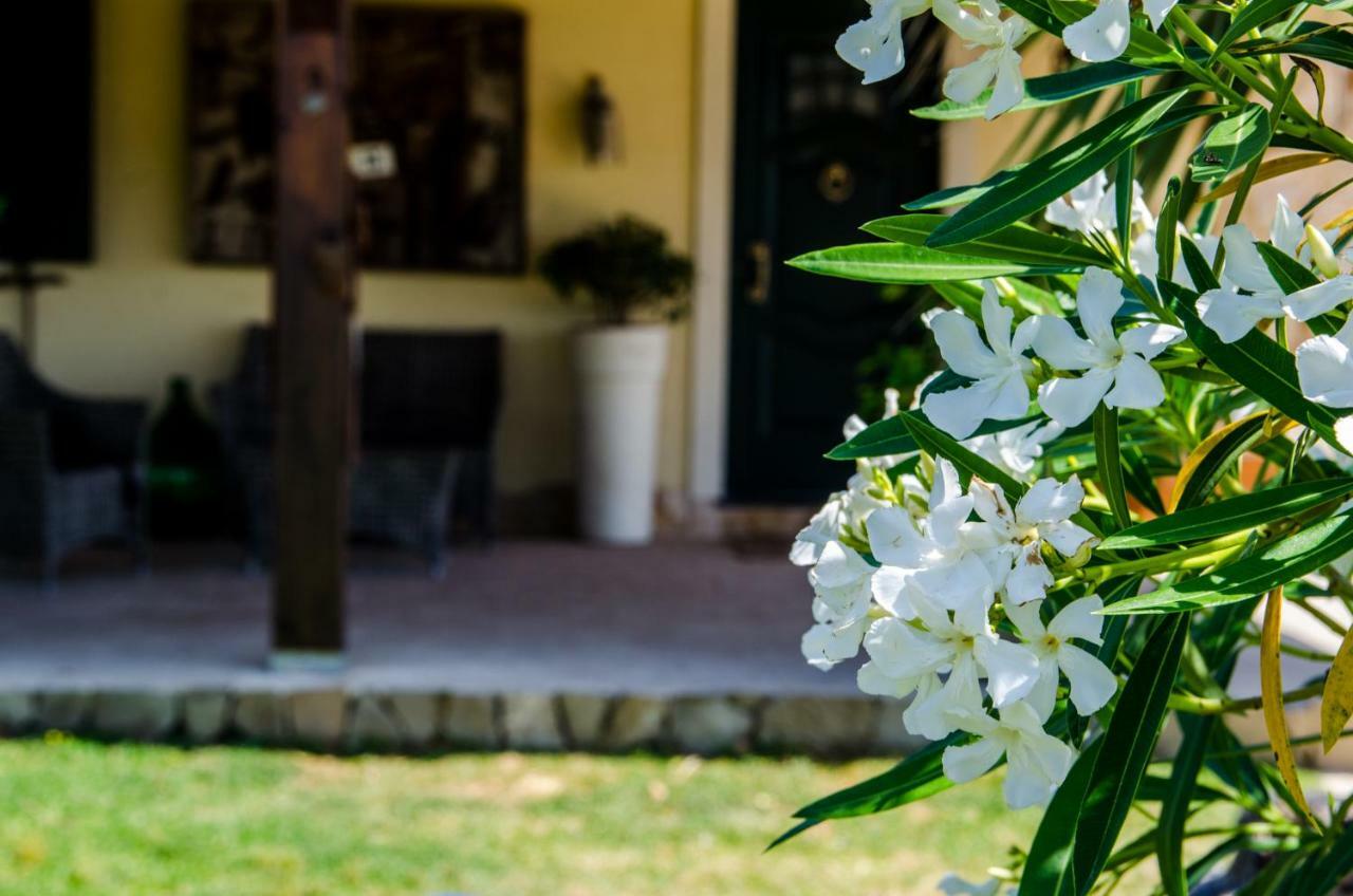 B&B Etna Ranch Piedimonte Etneo Exterior foto